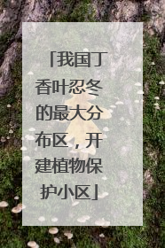 我国丁香叶忍冬的最大分布区，开建植物保护小区